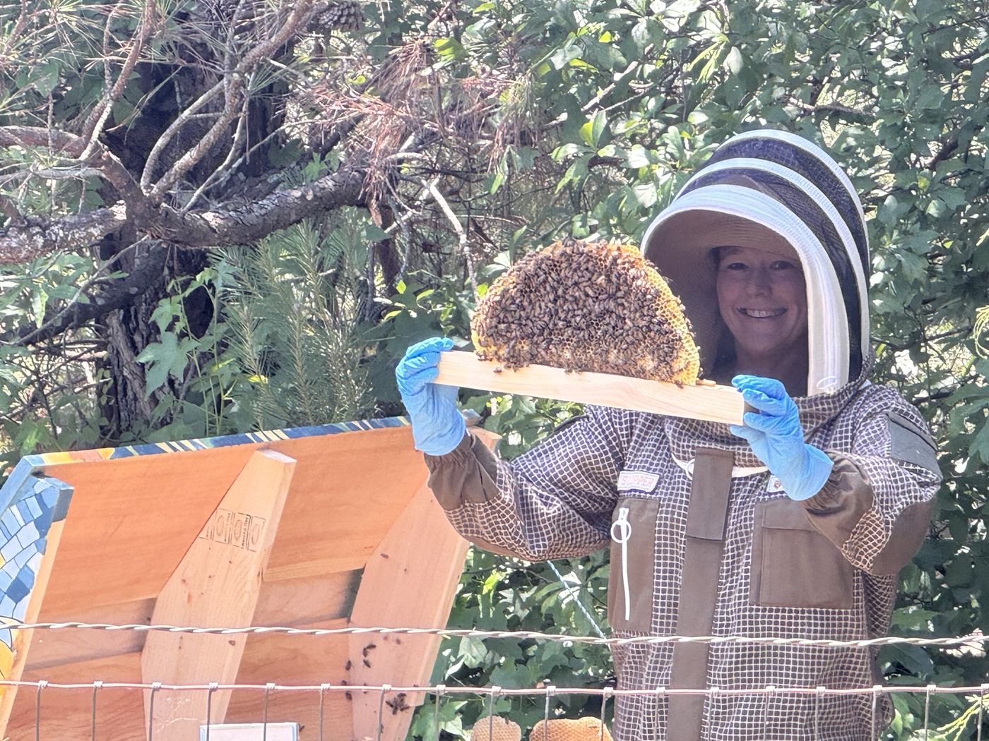 Jenn in a full bee suit holding up a top bar covered in natural comb and bees
